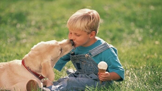 un niño recibe gusanos de un perro