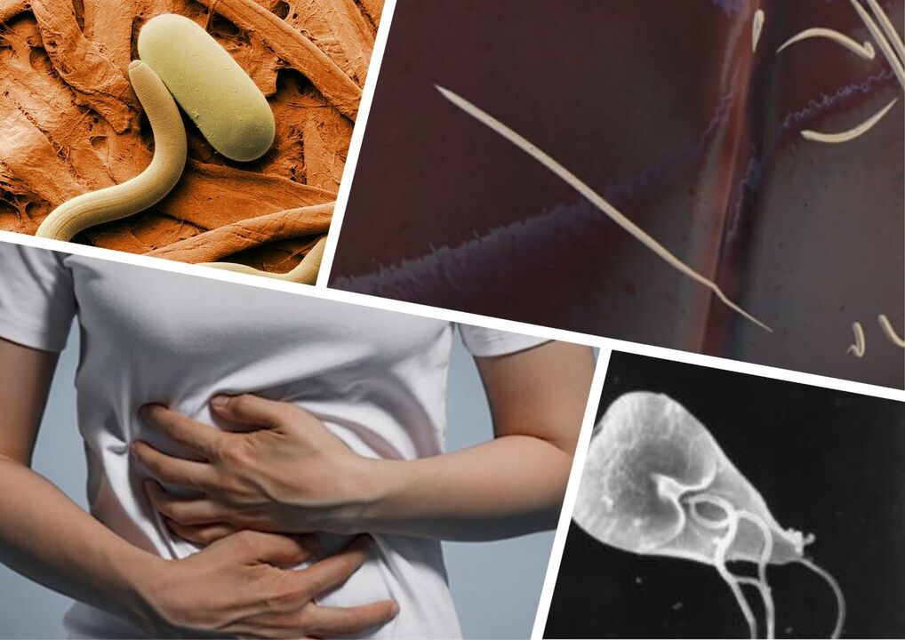 Parásitos en el cuerpo humano